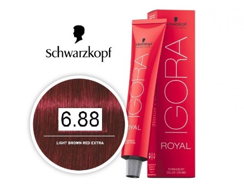 Dark Blonde Extra Red 6-88 Schwarzkopf Royal Igora Permanent Color