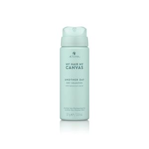Alterna CANVAS Another Day Dry Shampoo Mini 60ml