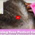 How To Use Clairol Professional’s Advance Gray Solution